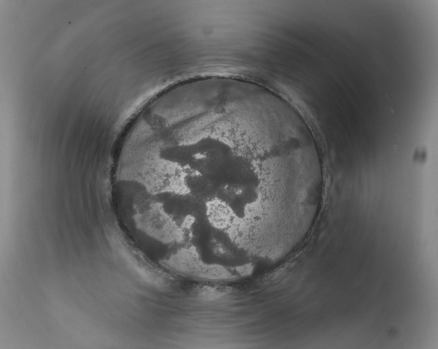X0000112430346200909041441