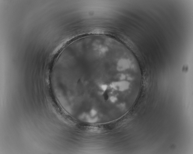 X0000112430347200909041441