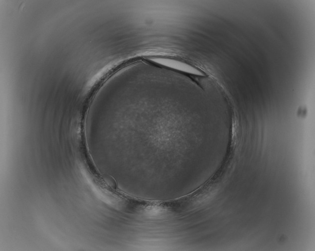 X0000112430348200909041441