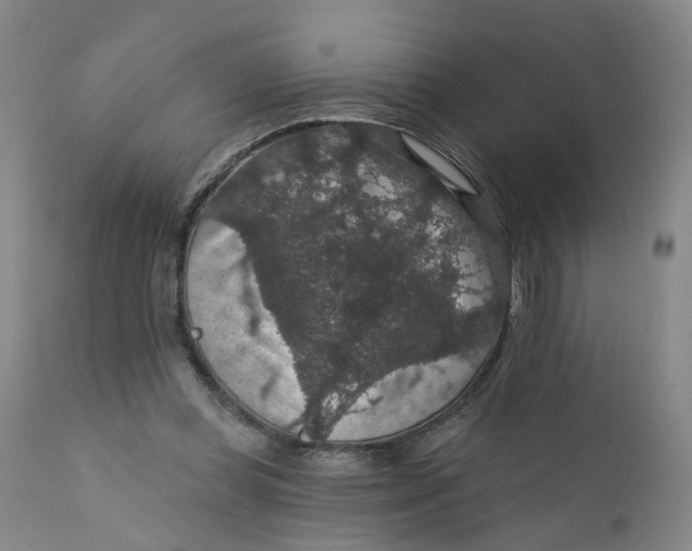 X0000112430349200909041441