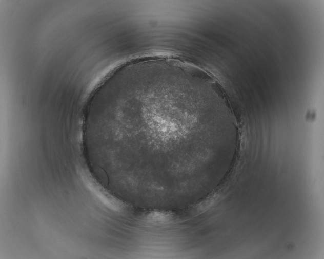 X0000112430350200909041441