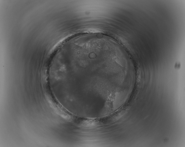 X0000112430351200909041441
