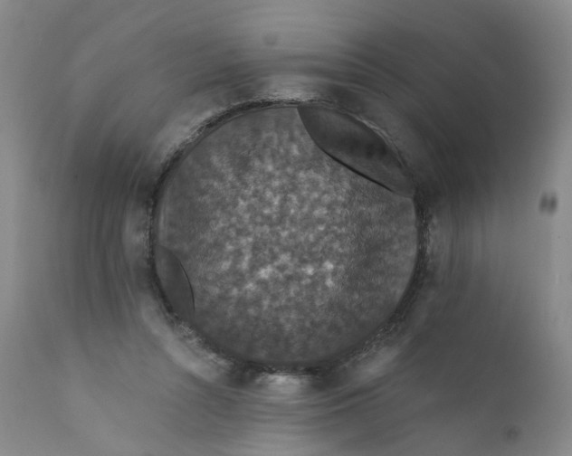 X0000112430352200909041441