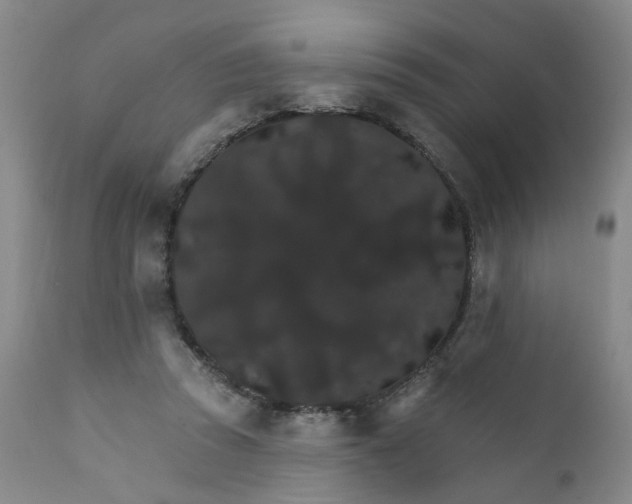 X0000112430353200909041441