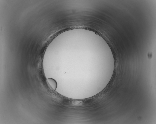 X0000112430355200909041441