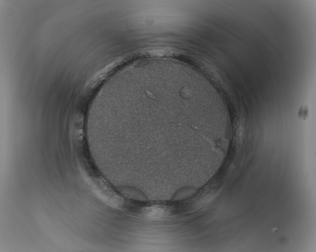 X0000112430356200909041441