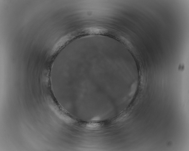 X0000112430357200909041441