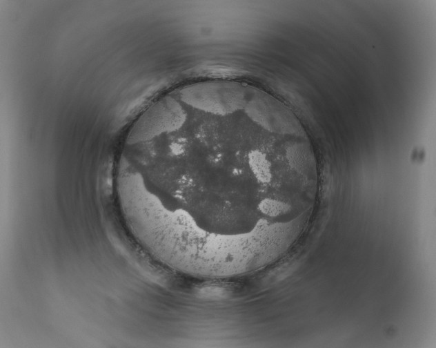 X0000112430358200909041441