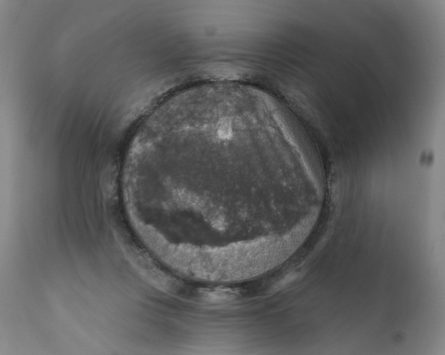 X0000112430359200909041441