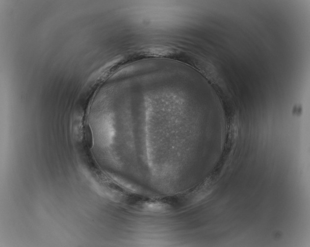 X0000112430360200909041441