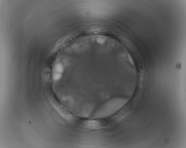 X0000112430361200909041441