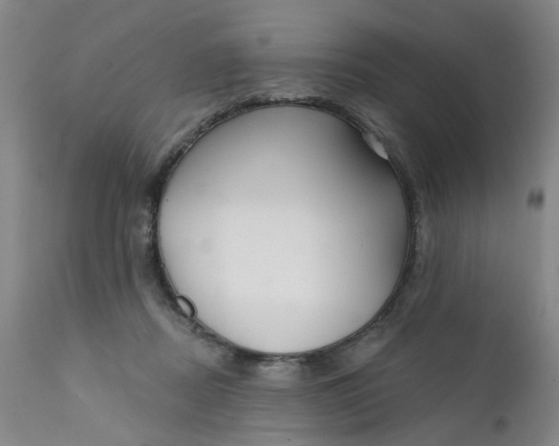 X0000112430362200909041441