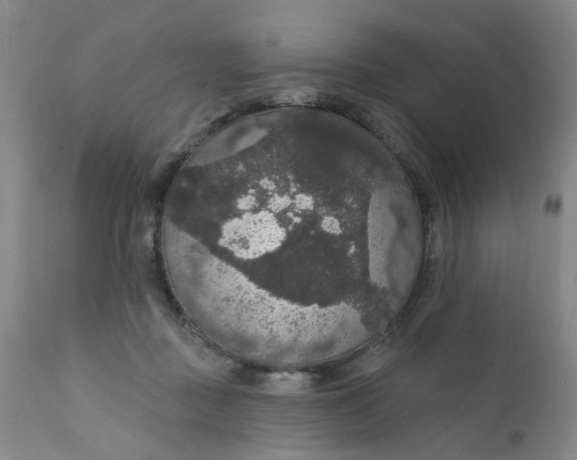 X0000112430363200909041441