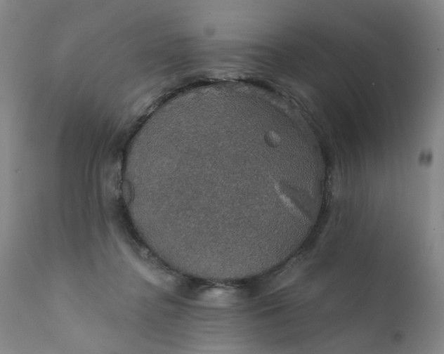 X0000112430364200909041442