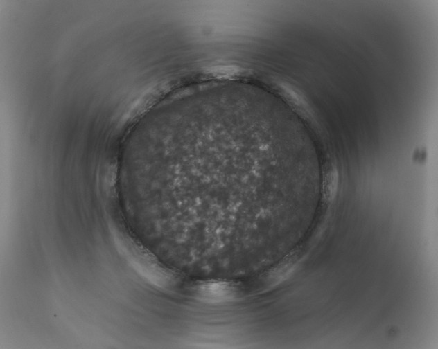 X0000112430365200909041442