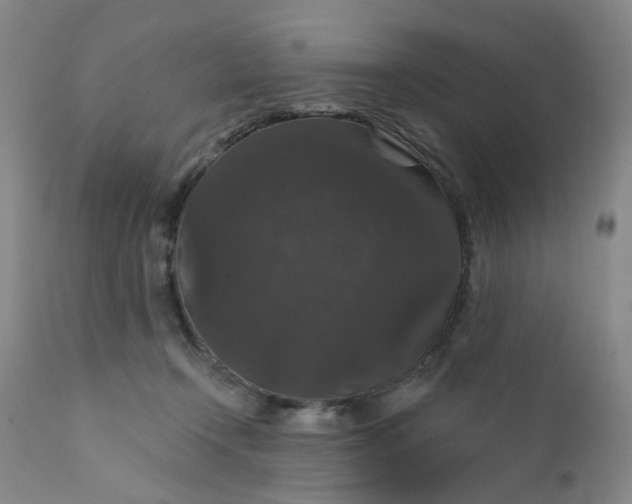 X0000112430366200909041442