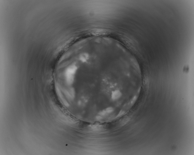 X0000112430367200909041442
