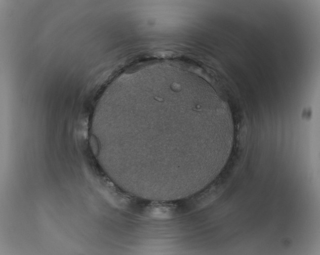 X0000112430368200909041442