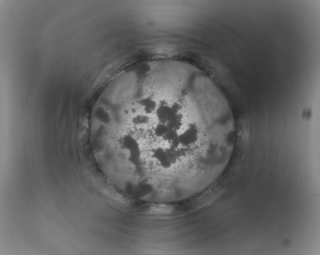 X0000112430369200909041442