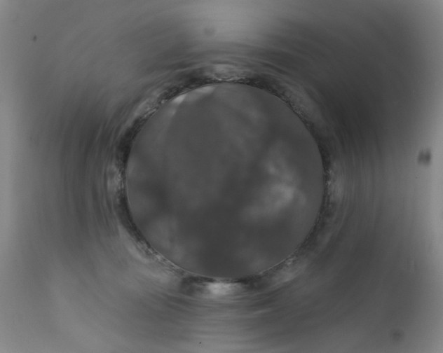X0000112430371200909041442