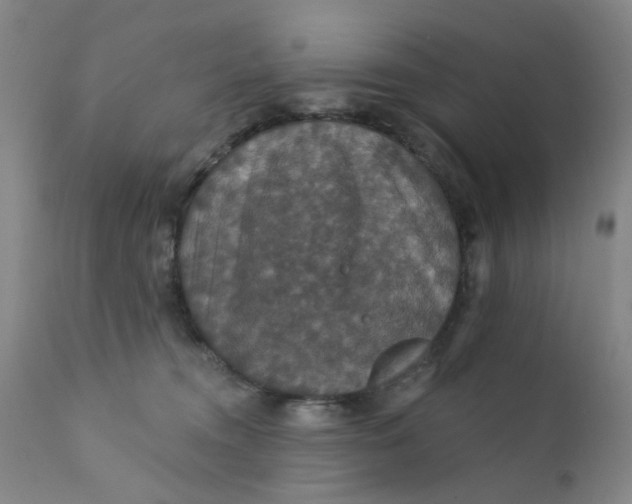 X0000112430372200909041442