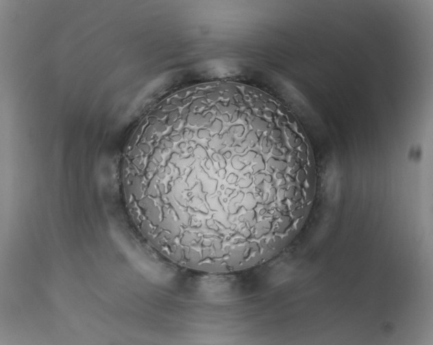 X0000112430373200909041442