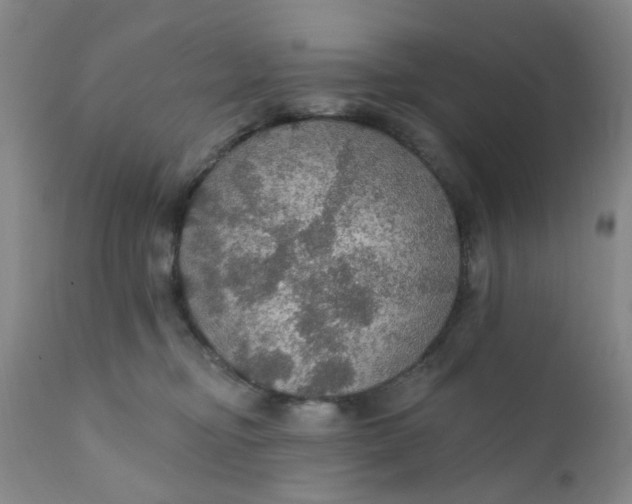 X0000112430374200909041442