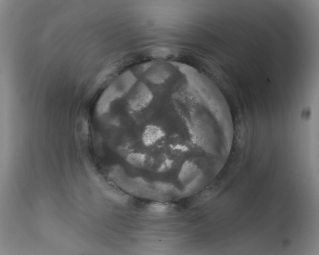 X0000112430375200909041442