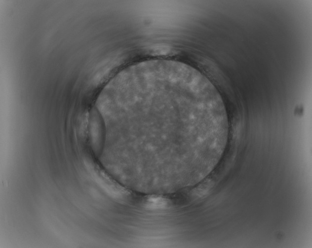 X0000112430376200909041442