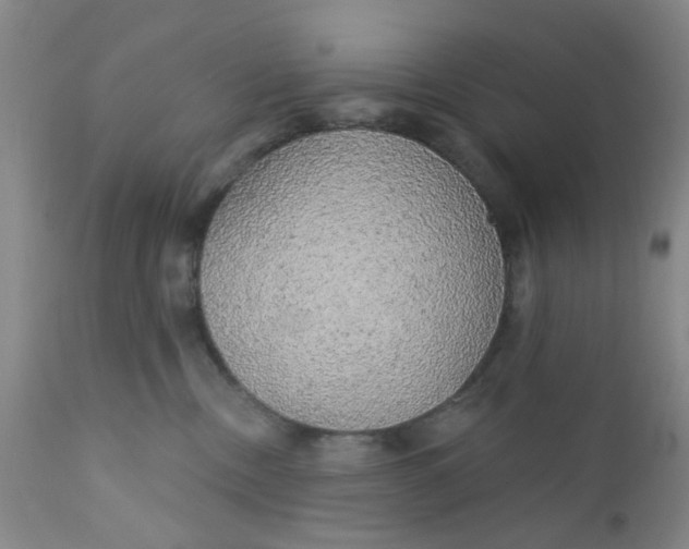 X0000112430378200909041442