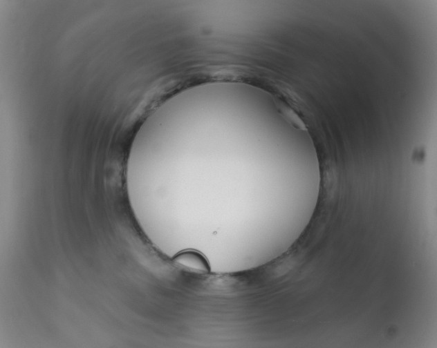 X0000112430379200909041442