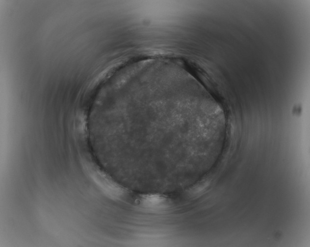 X0000112430380200909041442