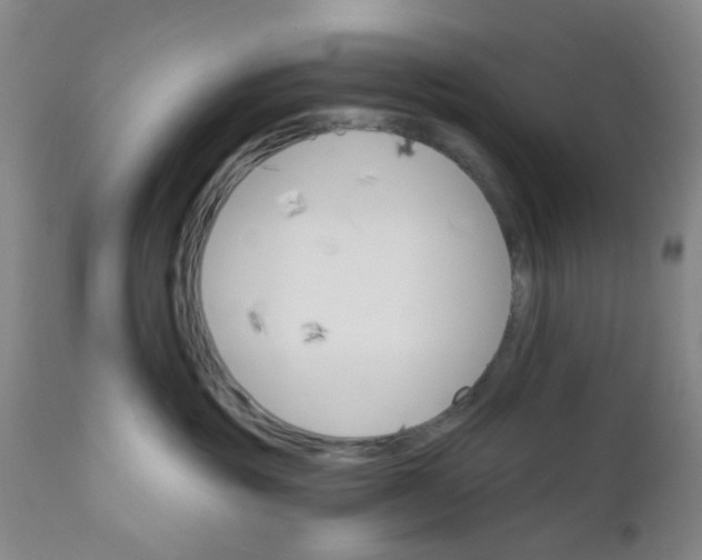 X0000112430381200909041442