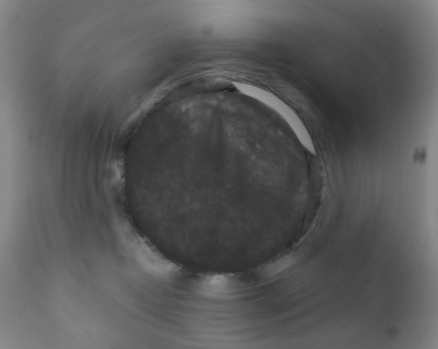 X0000112430382200909041442