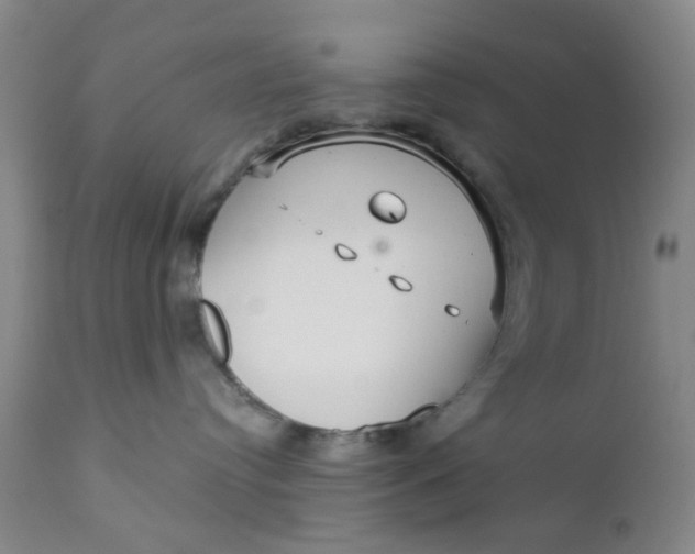 X0000112430384200909041442