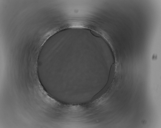 X0000112430385200909041441