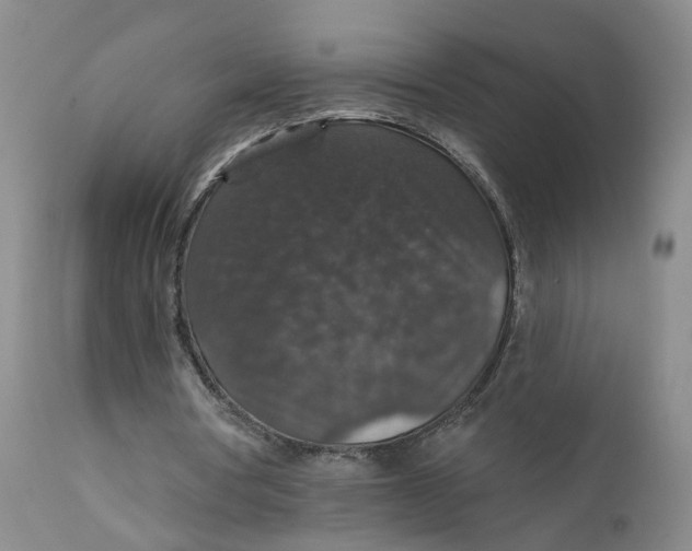 X0000112430386200909041441