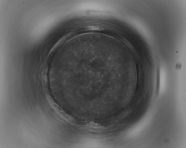 X0000112430387200909041441