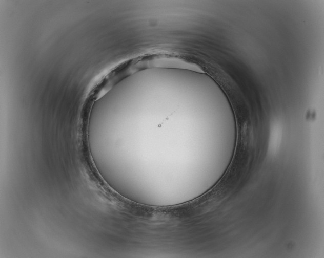 X0000112430388200909041441