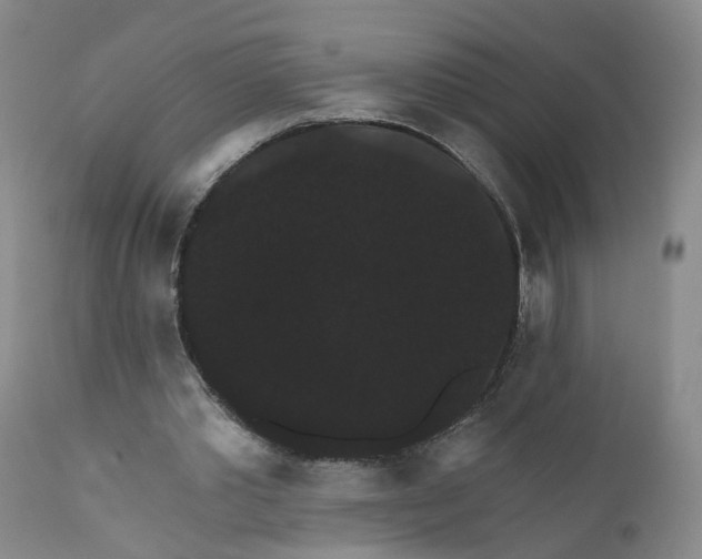 X0000112430389200909041441
