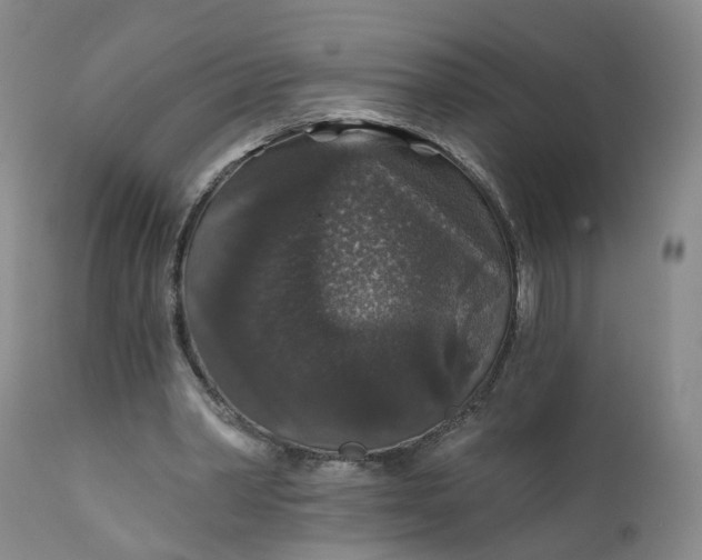 X0000112430390200909041441