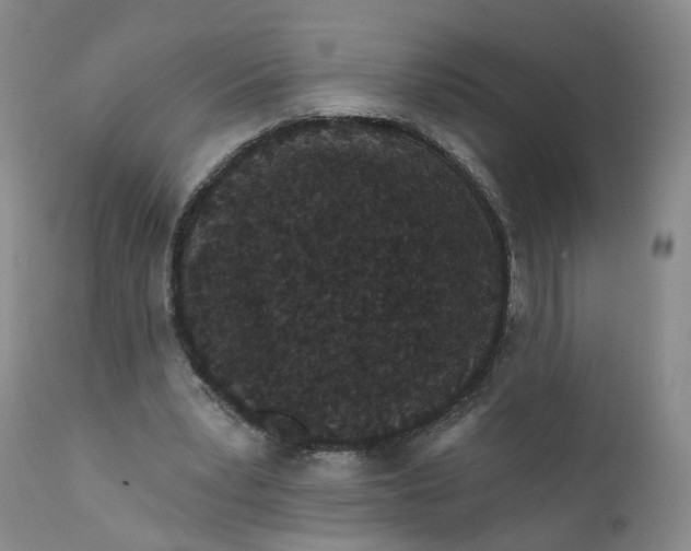 X0000112430391200909041441