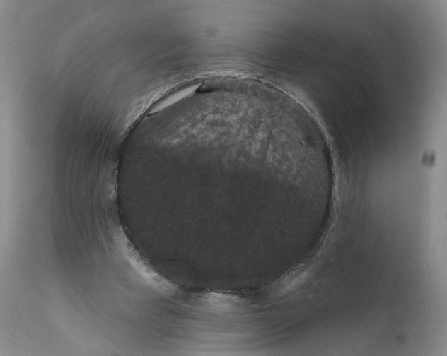 X0000112430393200909041441