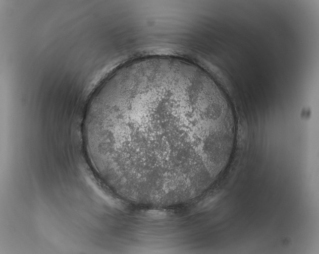X0000112430394200909041441