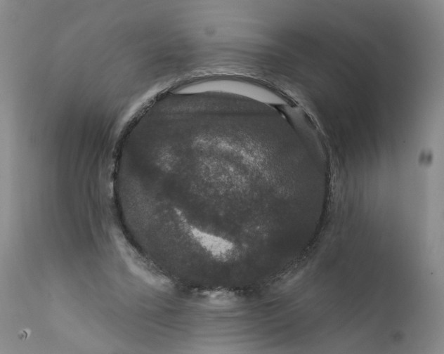 X0000112430395200909041441