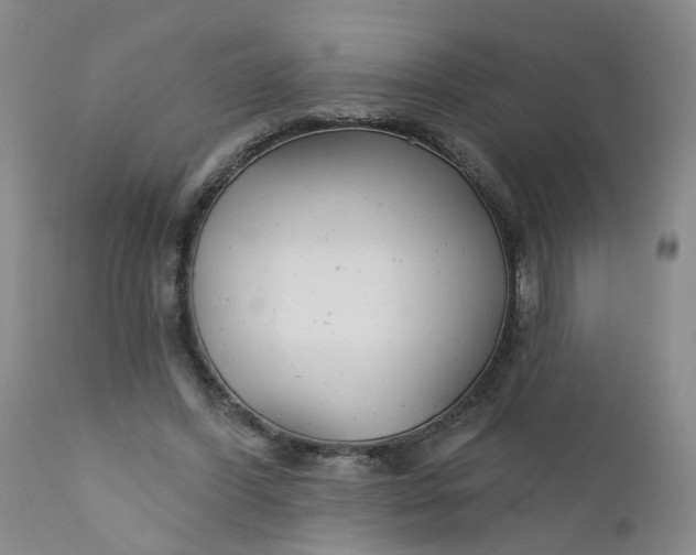 X0000112430396200909041441