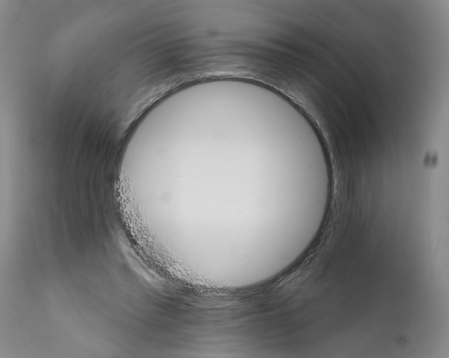 X0000112430397200909041441
