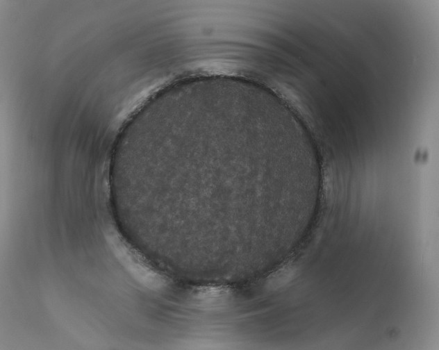 X0000112430398200909041441