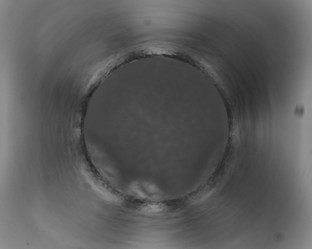 X0000112430402200909041441