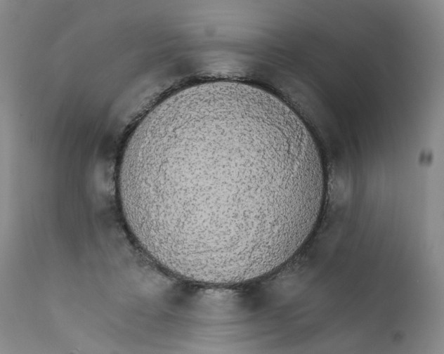 X0000112430403200909041441